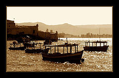 photo "Light in Sepia"