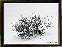 фото "Winter is here"