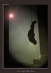 photo "Dreaming Upside Down"