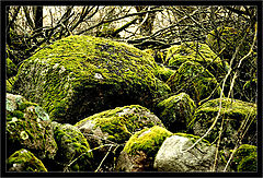 фото "Stones #2"
