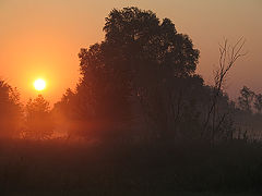 фото "5 AM"