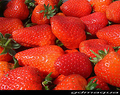 фото "RED MOMENT"