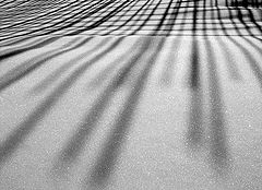 photo "***"