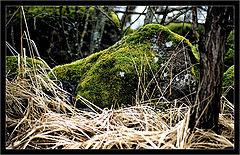 фото "Stones#3"