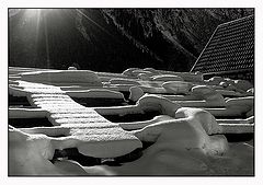 photo "Meeting the morning"