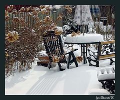 фото "Backyard winter"