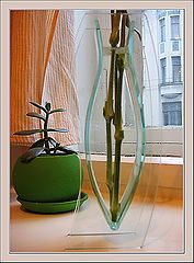 photo "Stem"