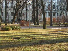фото "Метаморфозы января"