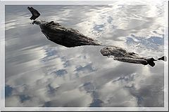 photo "log"