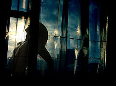 photo "freedom"