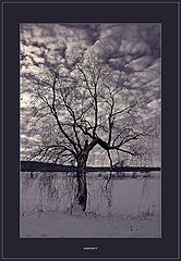 photo "Agony"