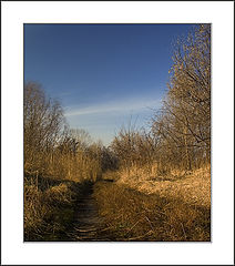 photo "winter 2005 #1"