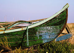 фото "Beached"