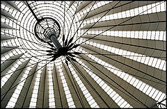 photo "Web"