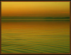 фото "Present of nature"