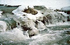 photo "Untitled photo"