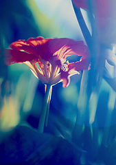 фото "Worm`s eye view"