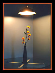 фото "Flowers"