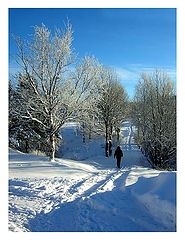 photo "Winter walk"