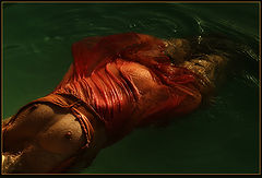 фото ""lanza-impressions"