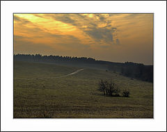 photo "winter 2005 #2"