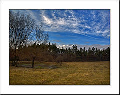 photo "winter 2005 #3"