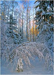 photo "From A.S.Pushkina`s fairy tales"