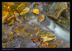 photo "water flow(s)"