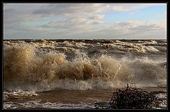фото "Storm (2)"