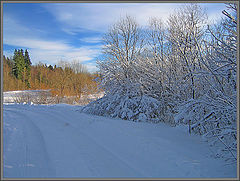 photo "A WInter Way"