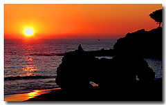 фото "Thoughts"