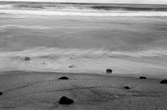 photo "Velvet skin"