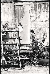 фото "Constancy"