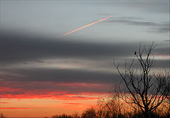 photo "no name"
