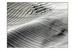 photo "*SURFACE*"