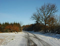 фото "WINTER"