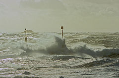 photo "Storm"