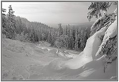 photo "On a stone placer I"