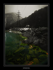 фото "***"