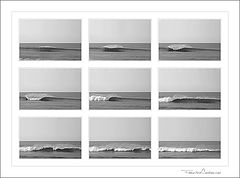 фото "(no title)"