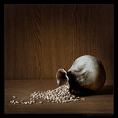 photo "Lentil"