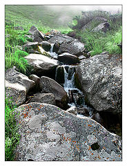 photo "Light of a stream"