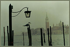 photo "where to fly?"