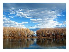 photo "River Tisa"