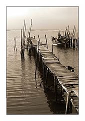 photo "Wood port"