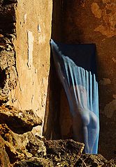 photo "a nice back in a ugly corner...or so:-))"