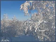 photo "winter"