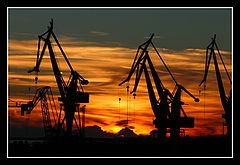 фото "giants"