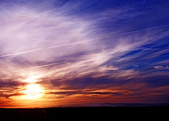 photo "Untitle"