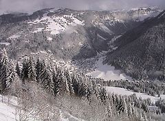 photo "Morzin"